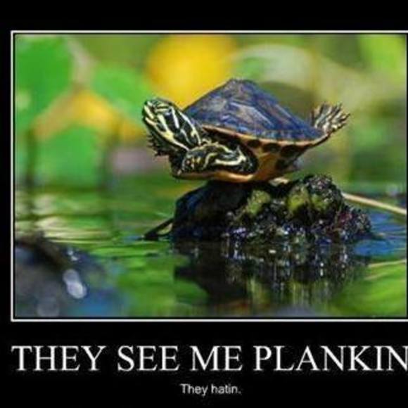 Meet your Posher, Jaya - Picture 1 of 1